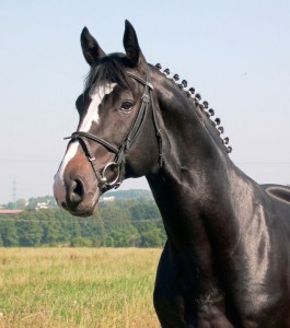Obrazek