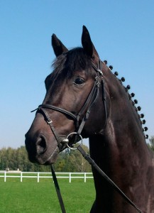 Obrazek